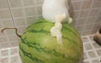 泡泡吃瓜黑料,泡泡吃瓜，黑料背后的真相